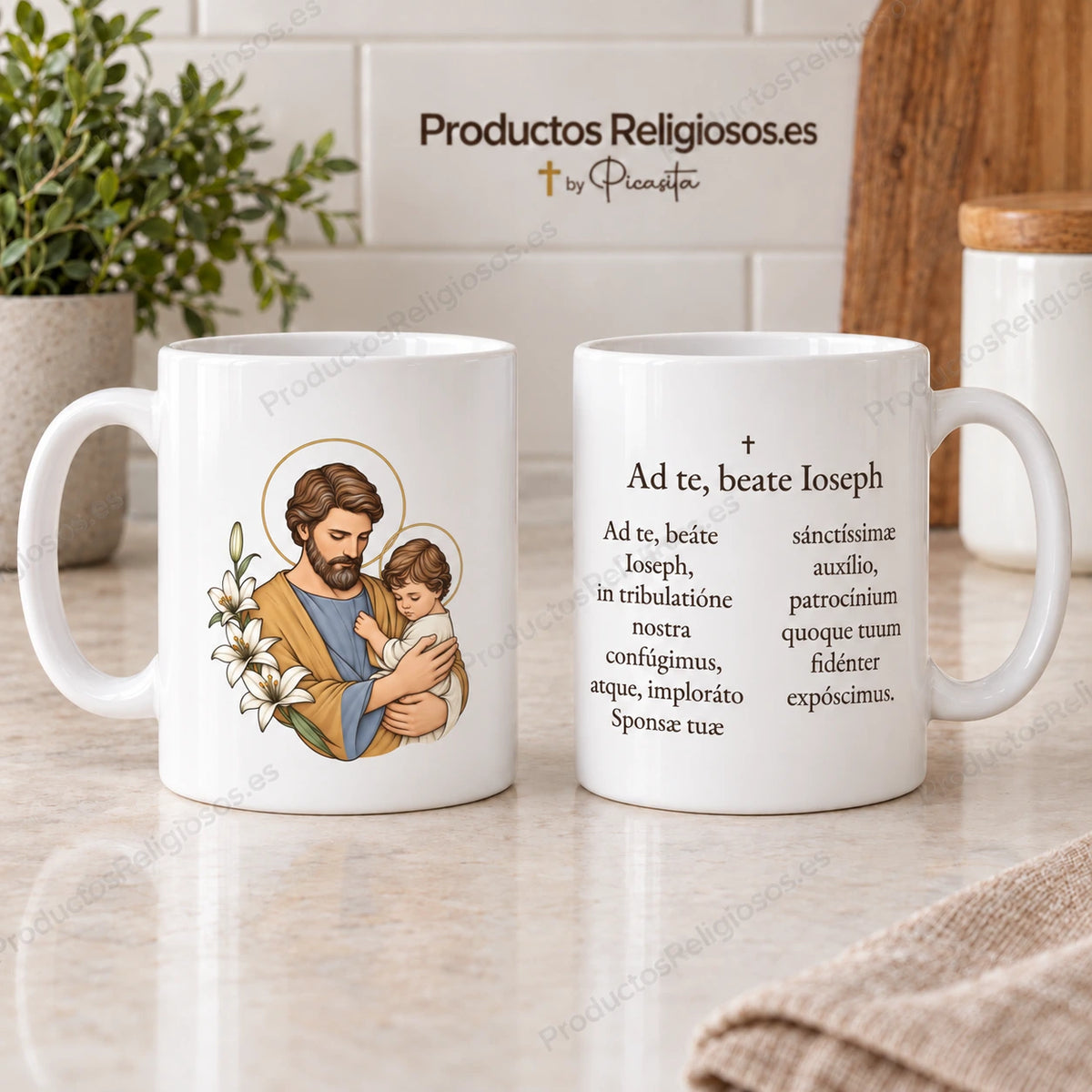 Taza de San Jose 2