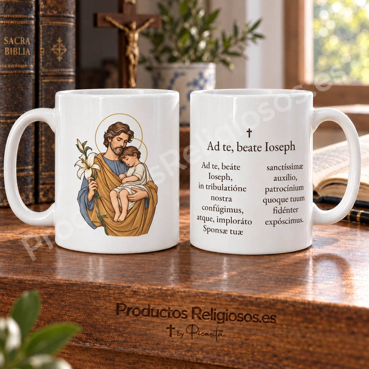 Taza de San Jose 4
