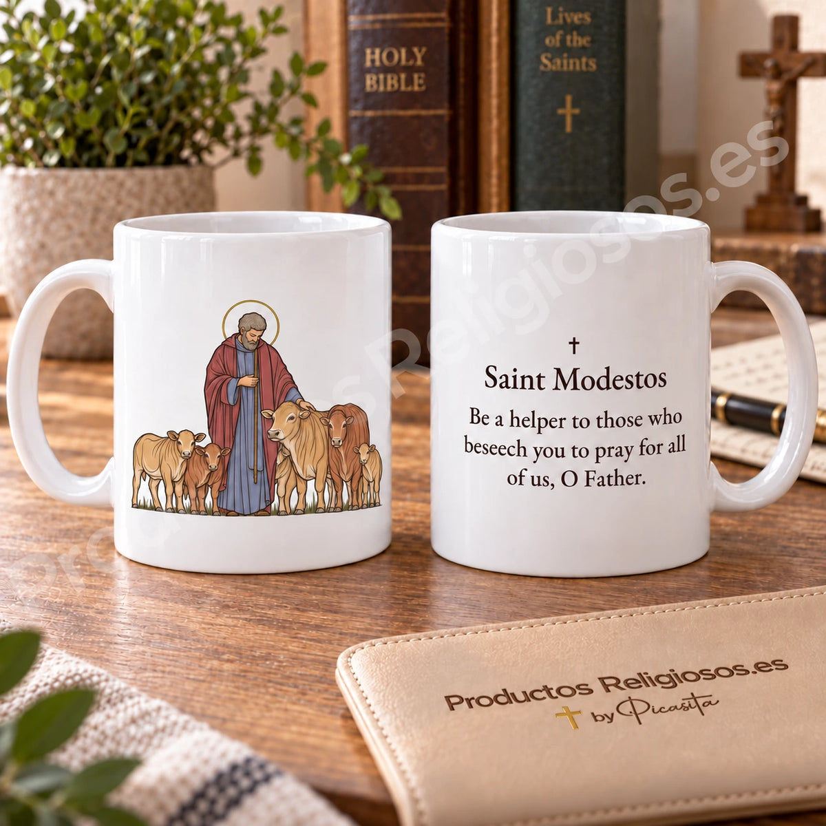 Taza de San Modesto 4